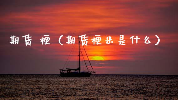 期货 梗（期货梗米是什么）