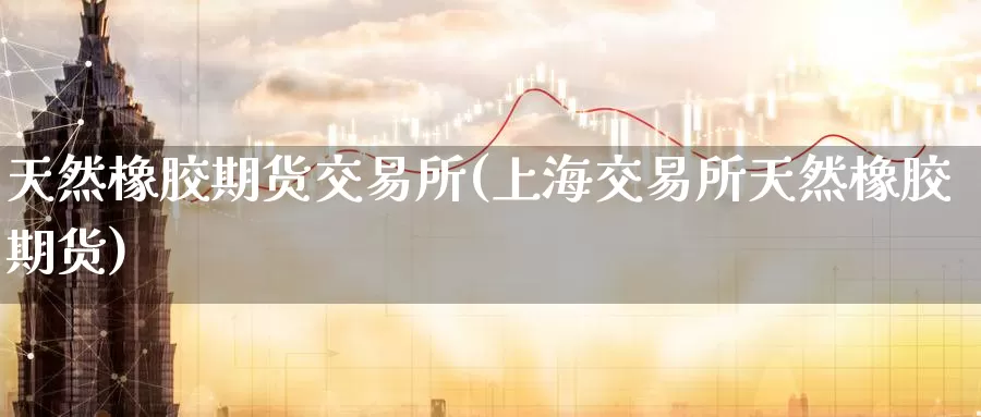 天然橡胶期货交易所(上海交易所天然橡胶期货)
