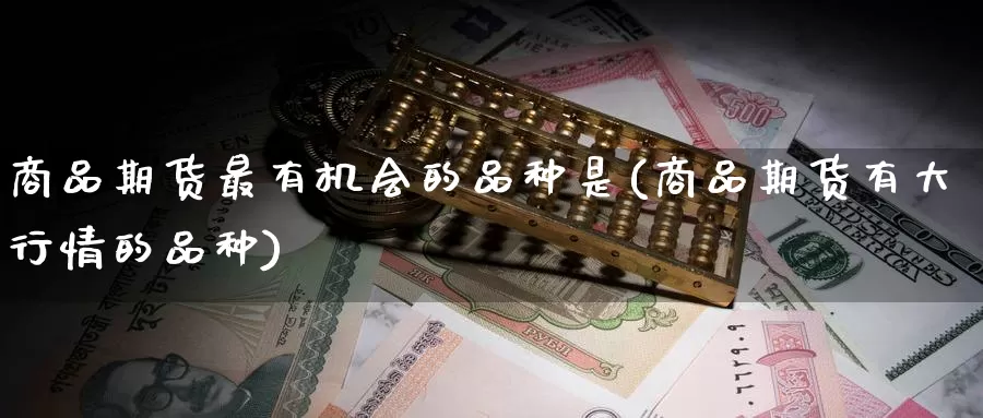 商品期货最有机会的品种是(商品期货有大行情的品种)