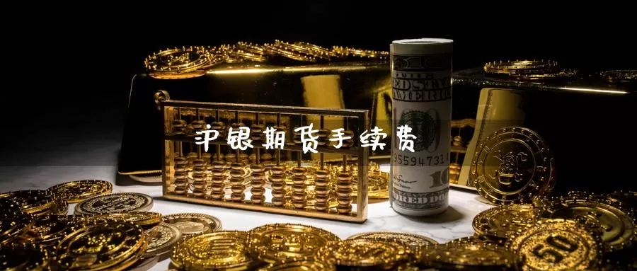 沪银期货手续费