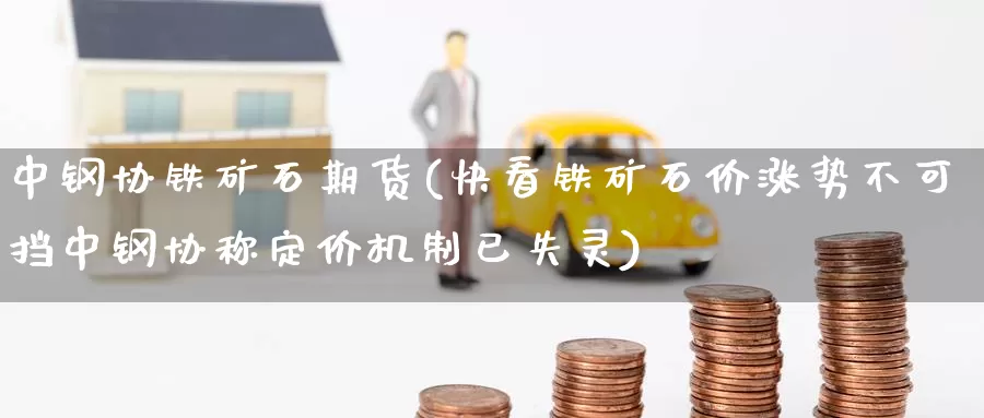 中钢协铁矿石期货(快看铁矿石价涨势不可挡中钢协称定价机制已失灵)