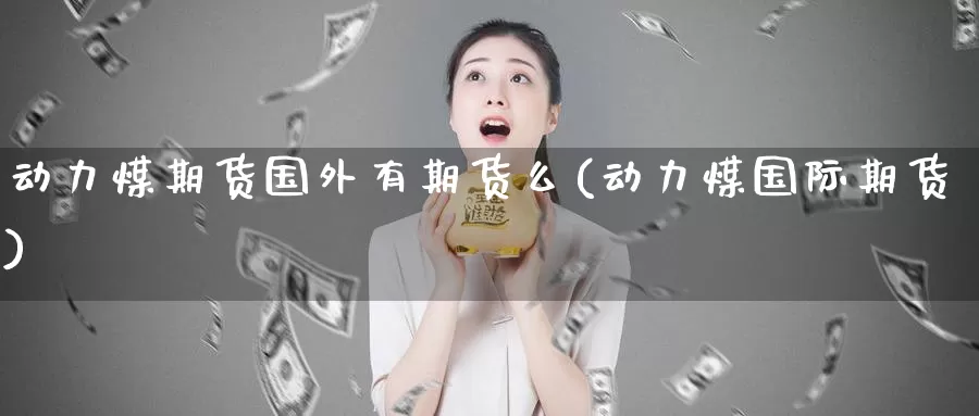 动力煤期货国外有期货么(动力煤国际期货)