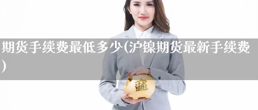 期货手续费最低多少(沪镍期货最新手续费)
