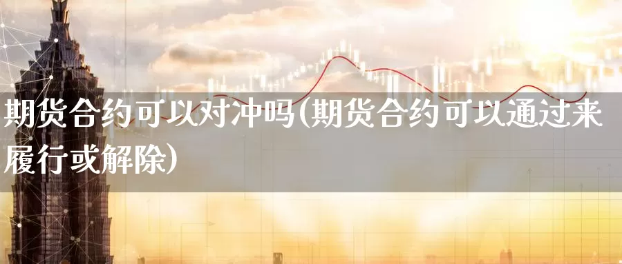 期货合约可以对冲吗(期货合约可以通过来履行或解除)