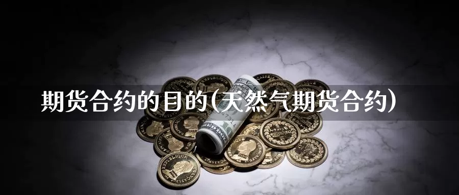 期货合约的目的(天然气期货合约)