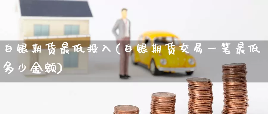 白银期货最低投入(白银期货交易一笔最低多少金额)