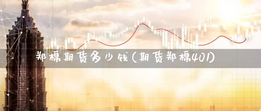 郑棉期货多少钱(期货郑棉401)