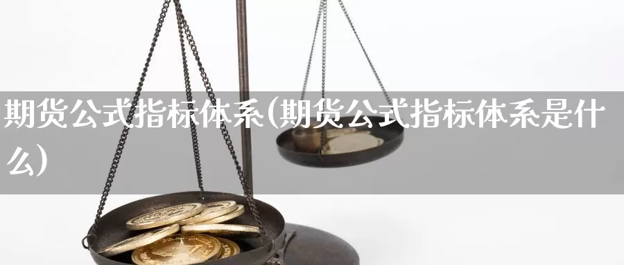 期货公式指标体系(期货公式指标体系是什么)