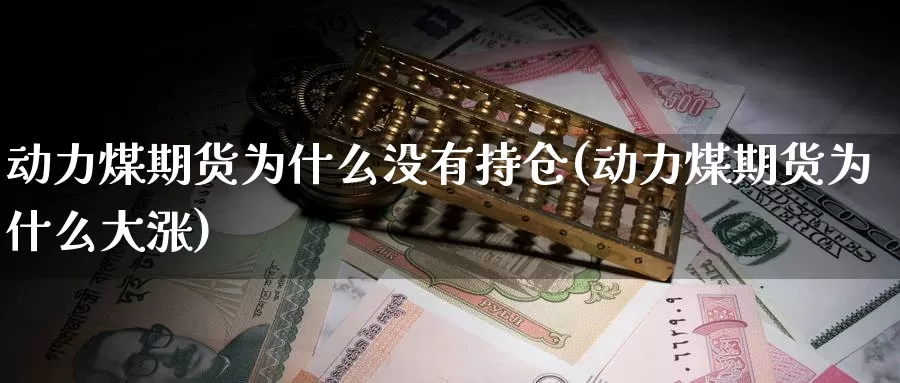 动力煤期货为什么没有持仓(动力煤期货为什么大涨)