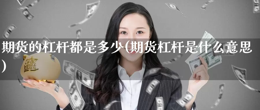 期货的杠杆都是多少(期货杠杆是什么意思)