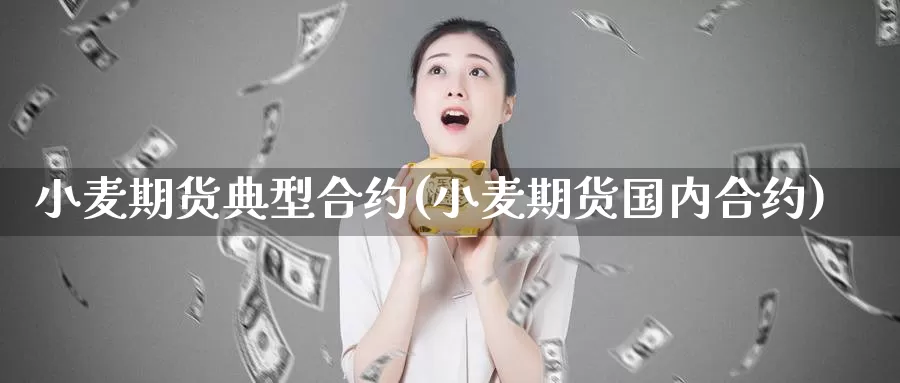 小麦期货典型合约(小麦期货国内合约)