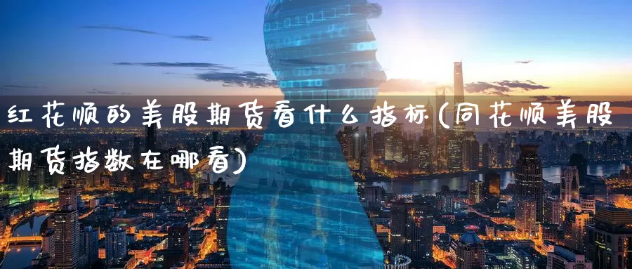红花顺的美股期货看什么指标(同花顺美股期货指数在哪看)