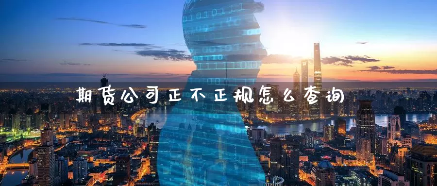 期货公司正不正规怎么查询