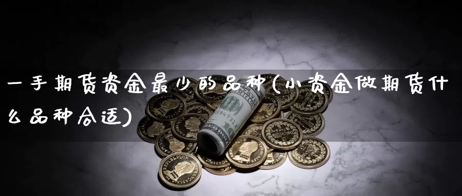 一手期货资金最少的品种(小资金做期货什么品种合适)