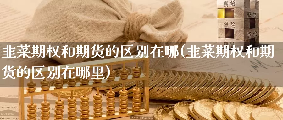 韭菜期权和期货的区别在哪(韭菜期权和期货的区别在哪里)