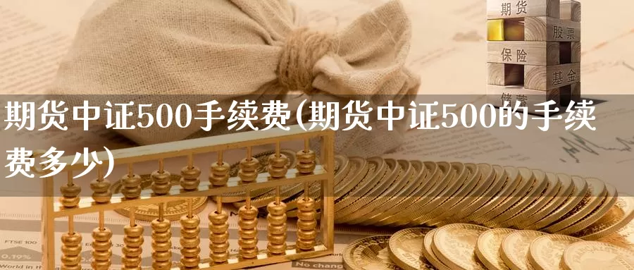 期货中证500手续费(期货中证500的手续费多少)