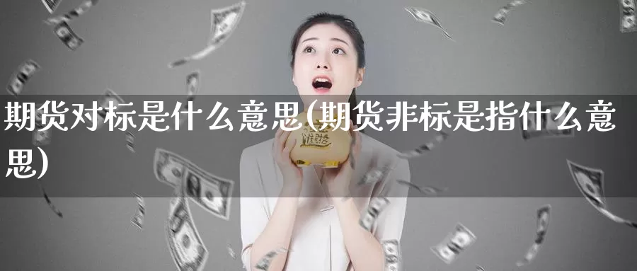 期货对标是什么意思(期货非标是指什么意思)