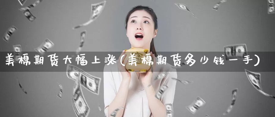 美棉期货大幅上涨(美棉期货多少钱一手)