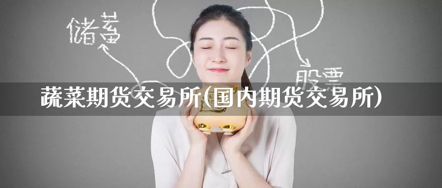 蔬菜期货交易所(国内期货交易所)