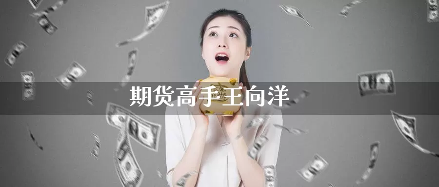期货高手王向洋