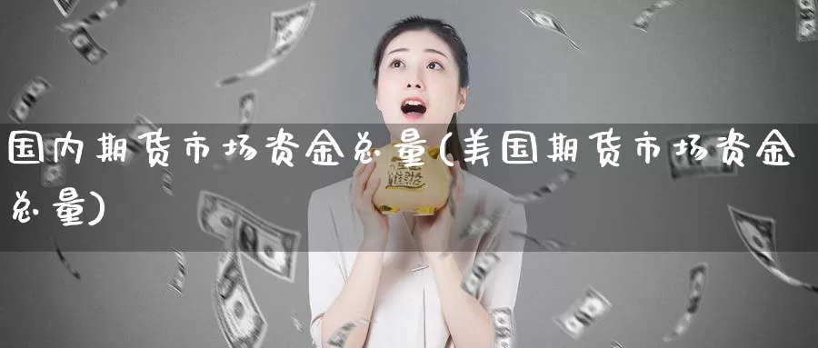国内期货市场资金总量(美国期货市场资金总量)