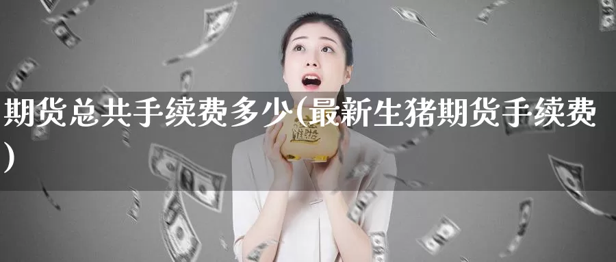 期货总共手续费多少(最新生猪期货手续费)