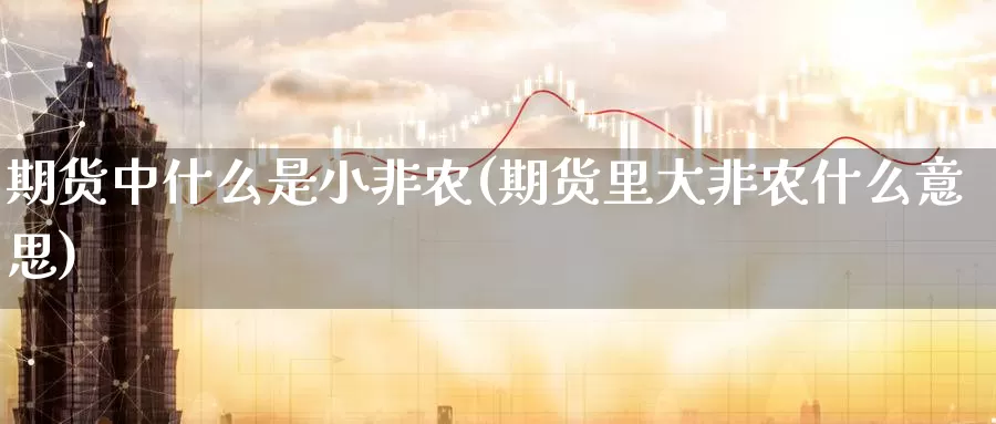 期货中什么是小非农(期货里大非农什么意思)