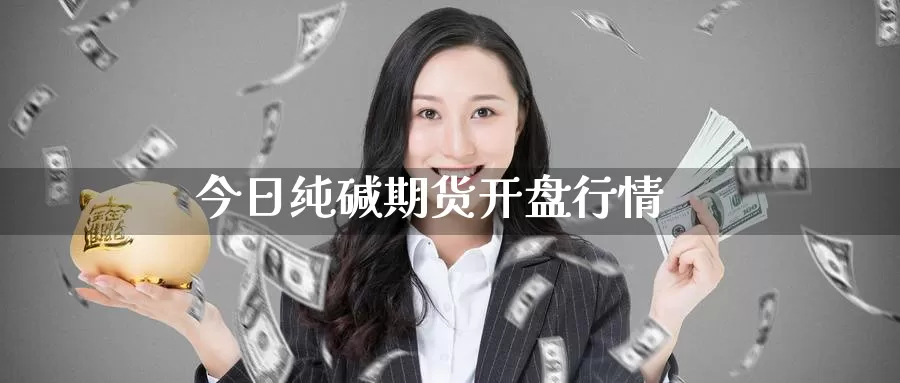 今日纯碱期货**行情