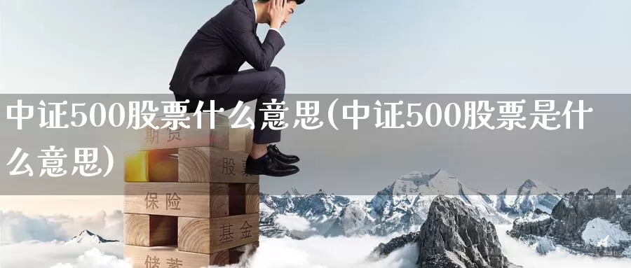 中证500股票什么意思(中证500股票是什么意思)