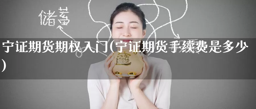 宁证期货期权入门(宁证期货手续费是多少)