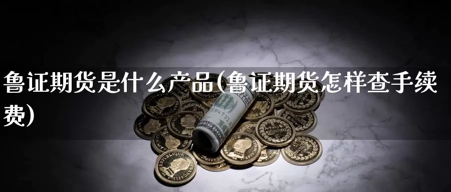 鲁证期货是什么产品(鲁证期货怎样查手续费)