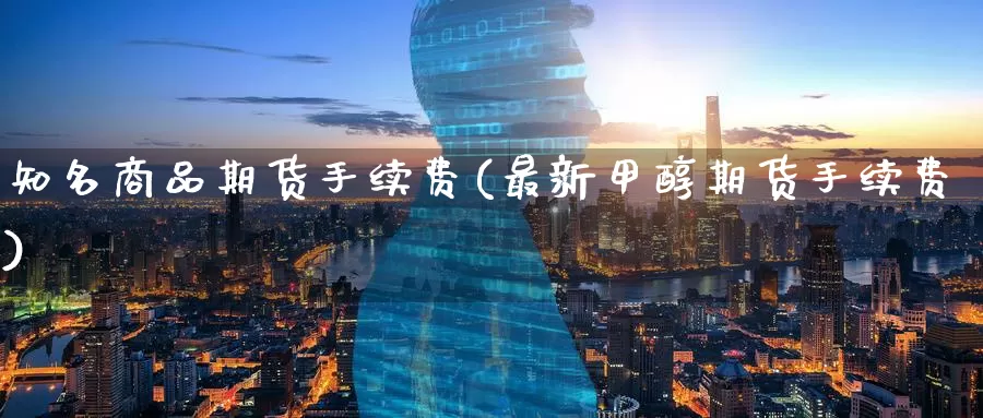 知名商品期货手续费(最新甲醇期货手续费)