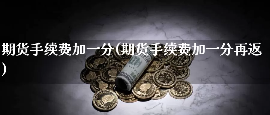 期货手续费加一分(期货手续费加一分再返)