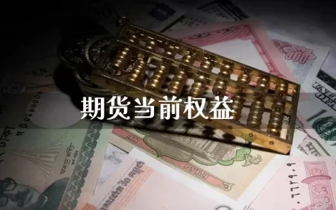 期货当前权益