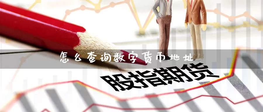 怎么查询数字货币地址
