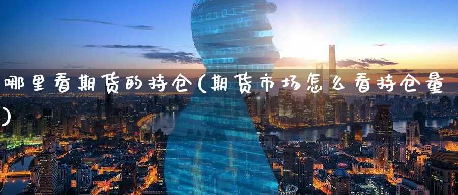 哪里看期货的持仓(期货市场怎么看持仓量)