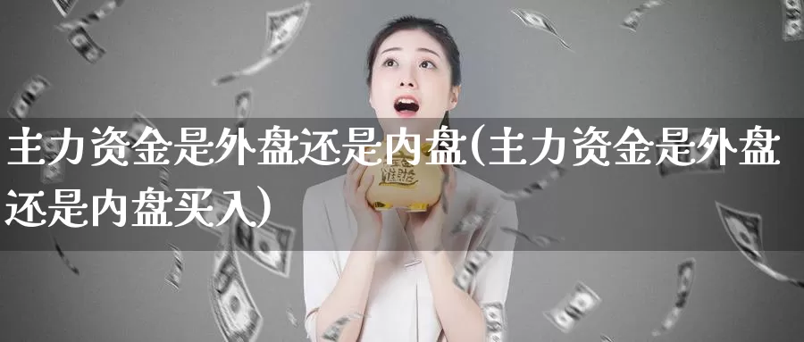主力资金是外盘还是内盘(主力资金是外盘还是内盘买入)