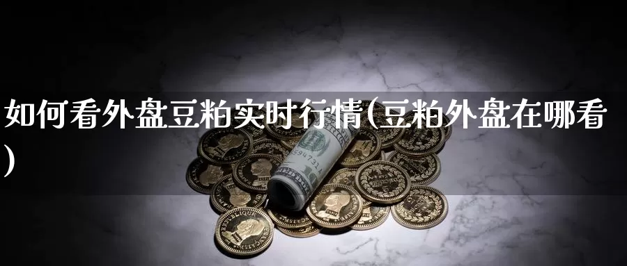 如何看外盘豆粕实时行情(豆粕外盘在哪看)