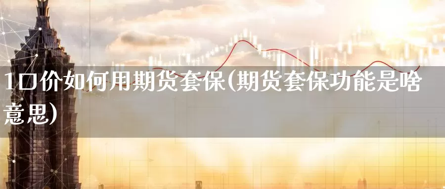 1口价如何用期货套保(期货套保功能是啥意思)