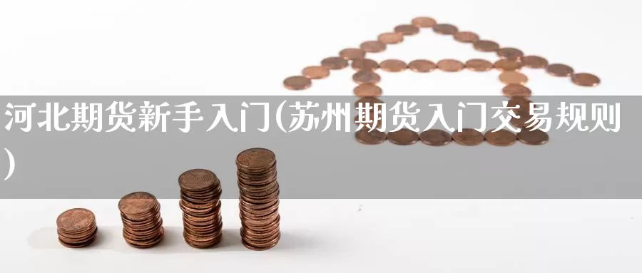 河北期货新手入门(苏州期货入门交易规则)