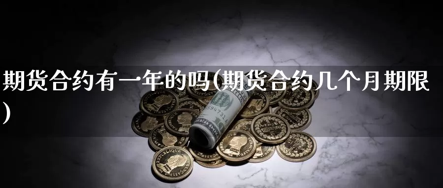 期货合约有一年的吗(期货合约几个月期限)