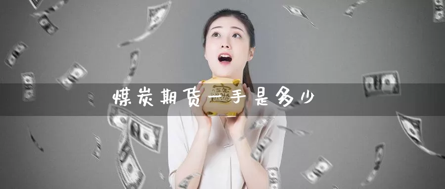 煤炭期货一手是多少