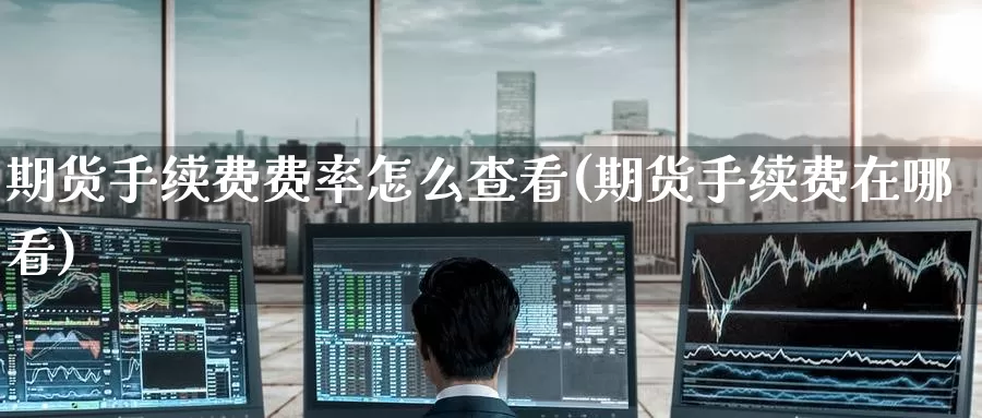 期货手续费费率怎么查看(期货手续费在哪看)