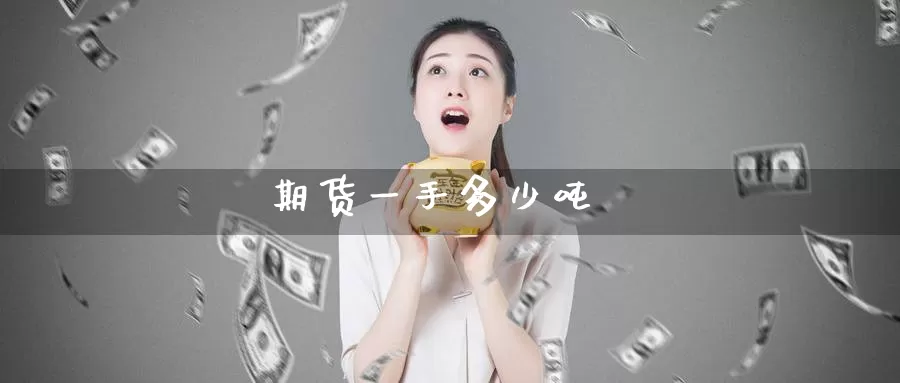 期货一手多少吨