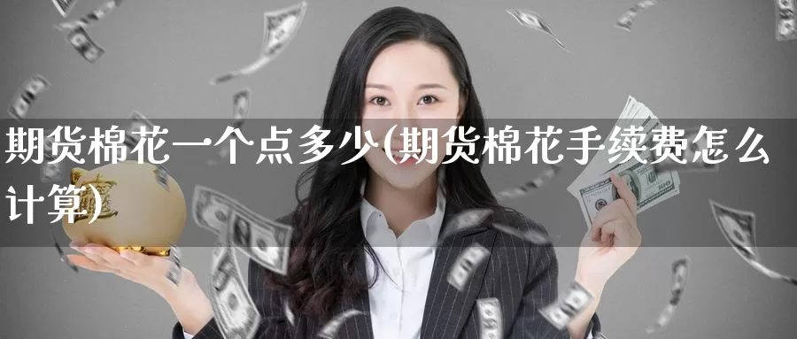 期货棉花一个点多少(期货棉花手续费怎么计算)