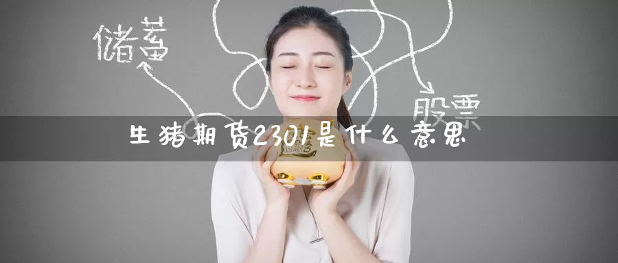 生猪期货2301是什么意思