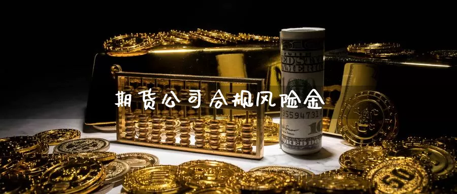 期货公司合规风险金