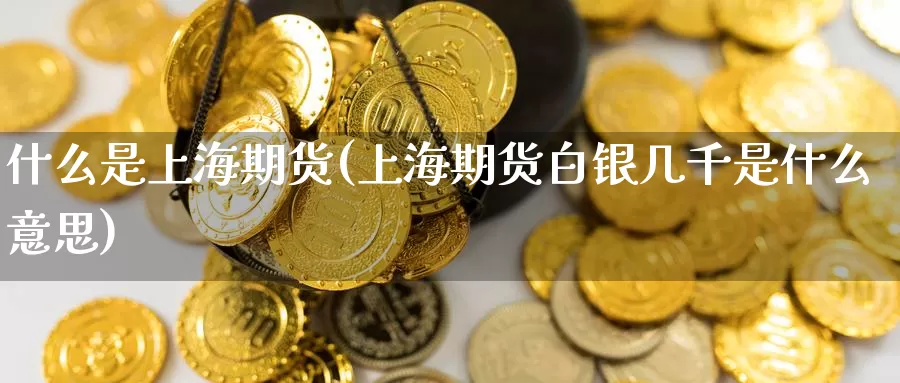 什么是上海期货(上海期货白银几千是什么意思)