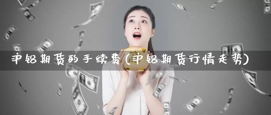 沪铝期货的手续费(沪铝期货行情走势)