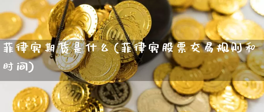 菲律宾期货是什么(菲律宾股票交易规则和时间)